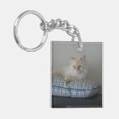 Sibirische Waldkatze (Doppeltes versah) mit Seiten Schlüsselanhänger (Vorderseite links)