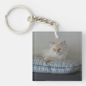 Sibirische Waldkatze (Doppeltes versah) mit Seiten Schlüsselanhänger (Vorderseite)