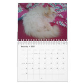 Sibirische Waldkatze Kalender (Feb 2027)