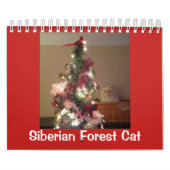 Sibirische Waldkatze Kalender (Titelbild)