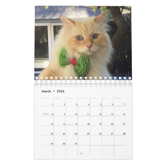 Sibirische Waldkatze Kalender (Mär 2026)