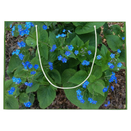 Sibirischer Bugloss - blau und grün - Große Geschenktüte