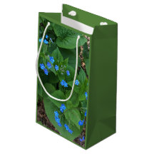 Sibirischer Bugloss - blau und grün -