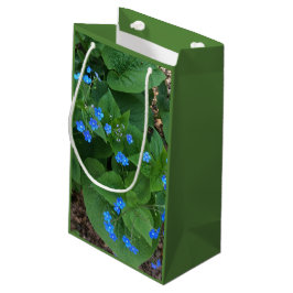 Sibirischer Bugloss - blau und grün - Kleine Geschenktüte