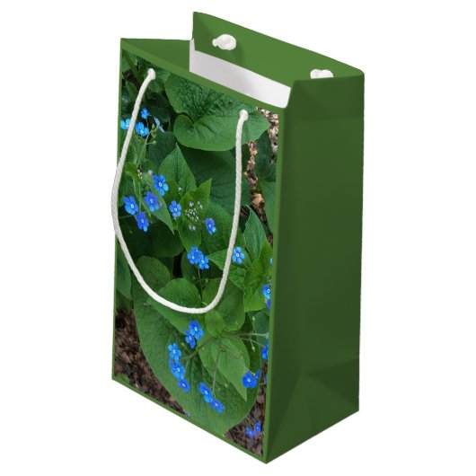 Sibirischer Bugloss - blau und grün - Kleine Geschenktüte (Rückseite Schrägansicht)