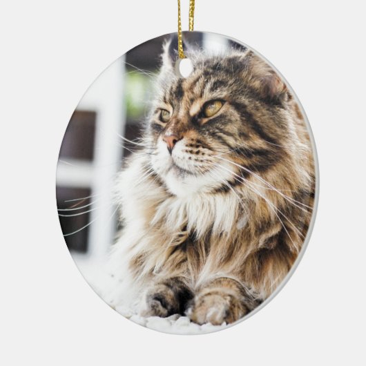 Sibirischer Entwurf der persischen Katze des Keramik Ornament (Links)