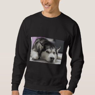 Sibirischer Husky 32 Sweatshirt