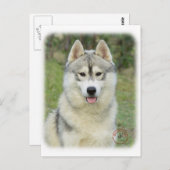 Sibirischer Husky 9L69D-14 Postkarte (Vorne/Hinten)
