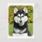 Sibirischer Husky 9P046D-49 Postkarte (Vorderseite)