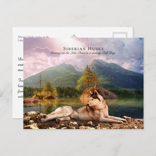Sibirischer Husky am Lakeshore im Herbst - Sammeln Postkarte (Vorne/Hinten)