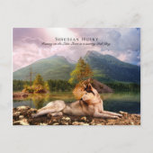 Sibirischer Husky am Lakeshore im Herbst - Sammeln Postkarte (Vorderseite)