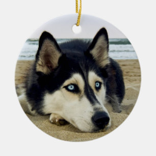 Sibirischer Husky am Strand Keramik-Ornament Keramikornament