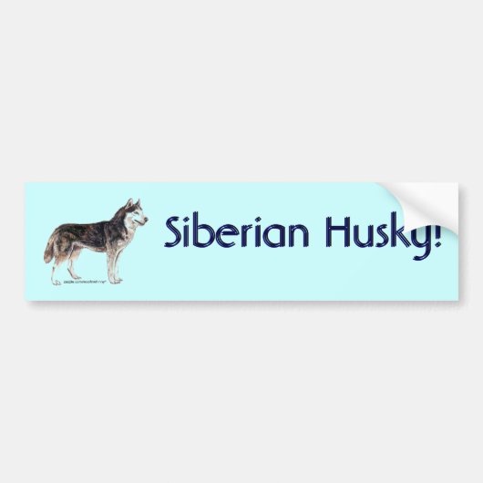 Sibirischer Husky! Autoaufkleber (Vorne)