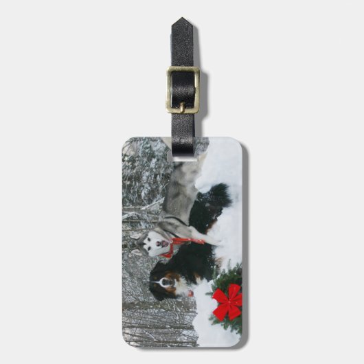 Sibirischer Husky Berneses Gepäckanhänger (Vorderseite vertikal)