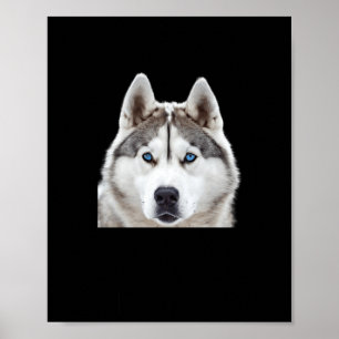 Sibirischer Husky-Beweis für diese Größe S-Aufkleb Poster