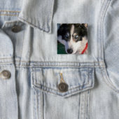 Sibirischer Husky Button (Beispiel)
