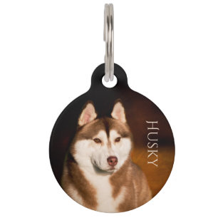 Sibirischer Husky Haustiermarke