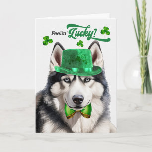 Sibirischer Husky Hund fühlt sich am St. Patrick's Feiertagskarte