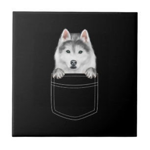 Sibirischer Husky-Hund in Pocket Funny Dog Lover Fliese