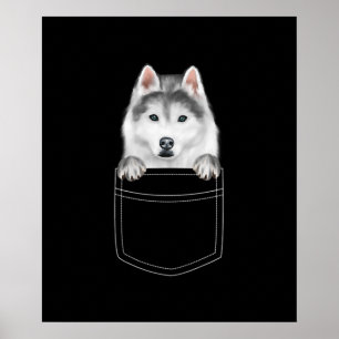 Sibirischer Husky-Hund in Pocket Funny Dog Lover Poster