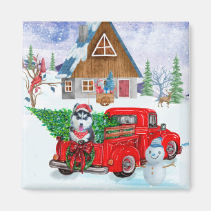 Sibirischer Husky-Hund in Weihnachtslieferwagen Magnet