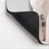 Sibirischer Husky Hund Mousepad (Ecke)