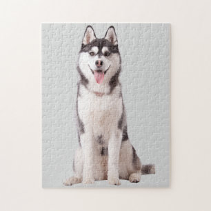 Sibirischer Husky-Hund Puzzle