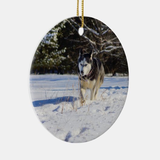 Sibirischer Husky im Schnee Keramikornament (Rechts)