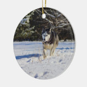 Sibirischer Husky im Schnee Keramikornament (Links)