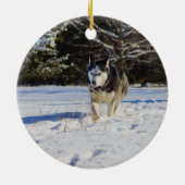 Sibirischer Husky im Schnee Keramikornament (Hinten)