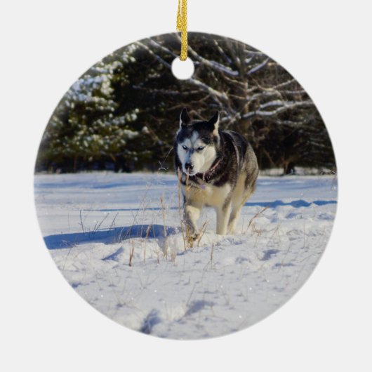 Sibirischer Husky im Schnee Keramikornament (Hinten)