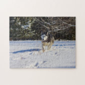 Sibirischer Husky im Schnee Puzzle (Horizontal)
