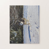 Sibirischer Husky im Schnee Puzzle (Vertikal)
