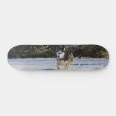 Sibirischer Husky im Schnee Skateboard (Horizontal)