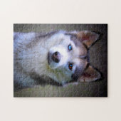 Sibirischer Husky Jigsaws. Puzzle (Horizontal)