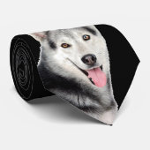 Sibirischer Husky Krawatte (Gerollt)