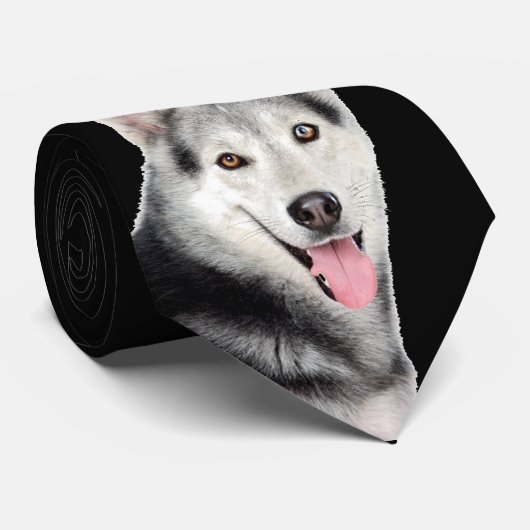 Sibirischer Husky Krawatte (Gerollt)
