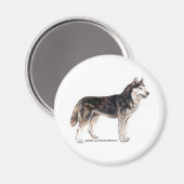 Sibirischer Husky! Magnet (Vorderseite/Rückseite)