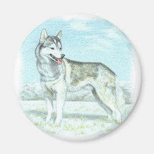 Sibirischer Husky Magnet