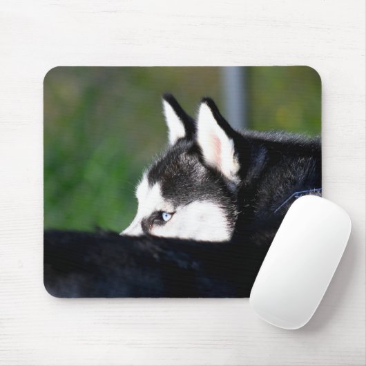 Sibirischer Husky Mousepad (Mit Mouse)