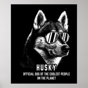 Sibirischer Husky-Offizieller Hund vom Coolsten Poster