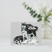 sibirischer Husky Postkarte (Stehend Vorderseite)