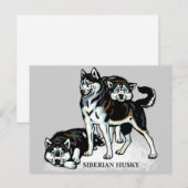 sibirischer Husky Postkarte (Vorne/Hinten)