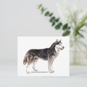 Sibirischer Husky! Postkarte (Stehend Vorderseite)