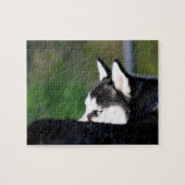 Sibirischer Husky Puzzle (Horizontal)