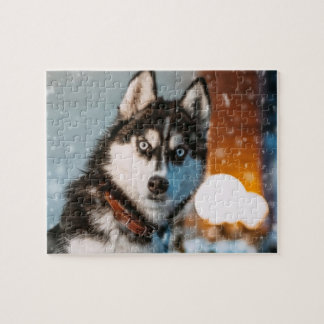 Sibirischer Husky Puzzle