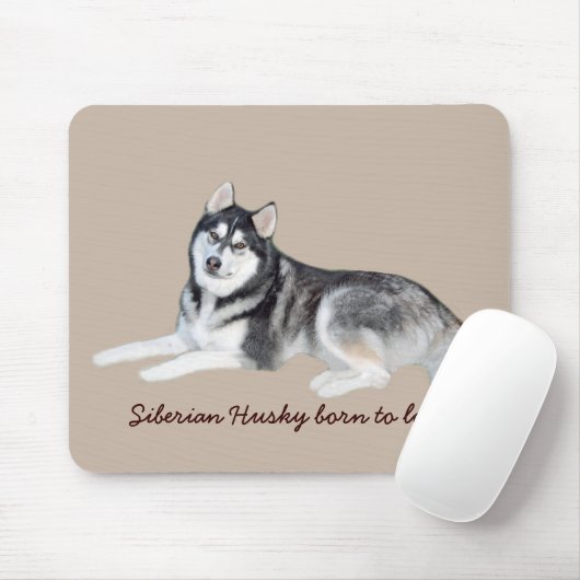 Sibirischer Husky schönes Mousepad (Mit Mouse)