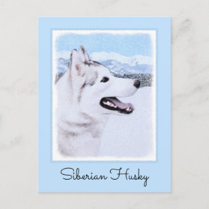 Sibirischer Husky (Silber und Weiß) Malerei Postkarte