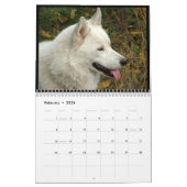Sibirischer Husky verfolgt Wandkalender (Feb 2026)