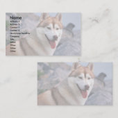 Sibirischer Husky Visitenkarte (Vorne/Hinten)
